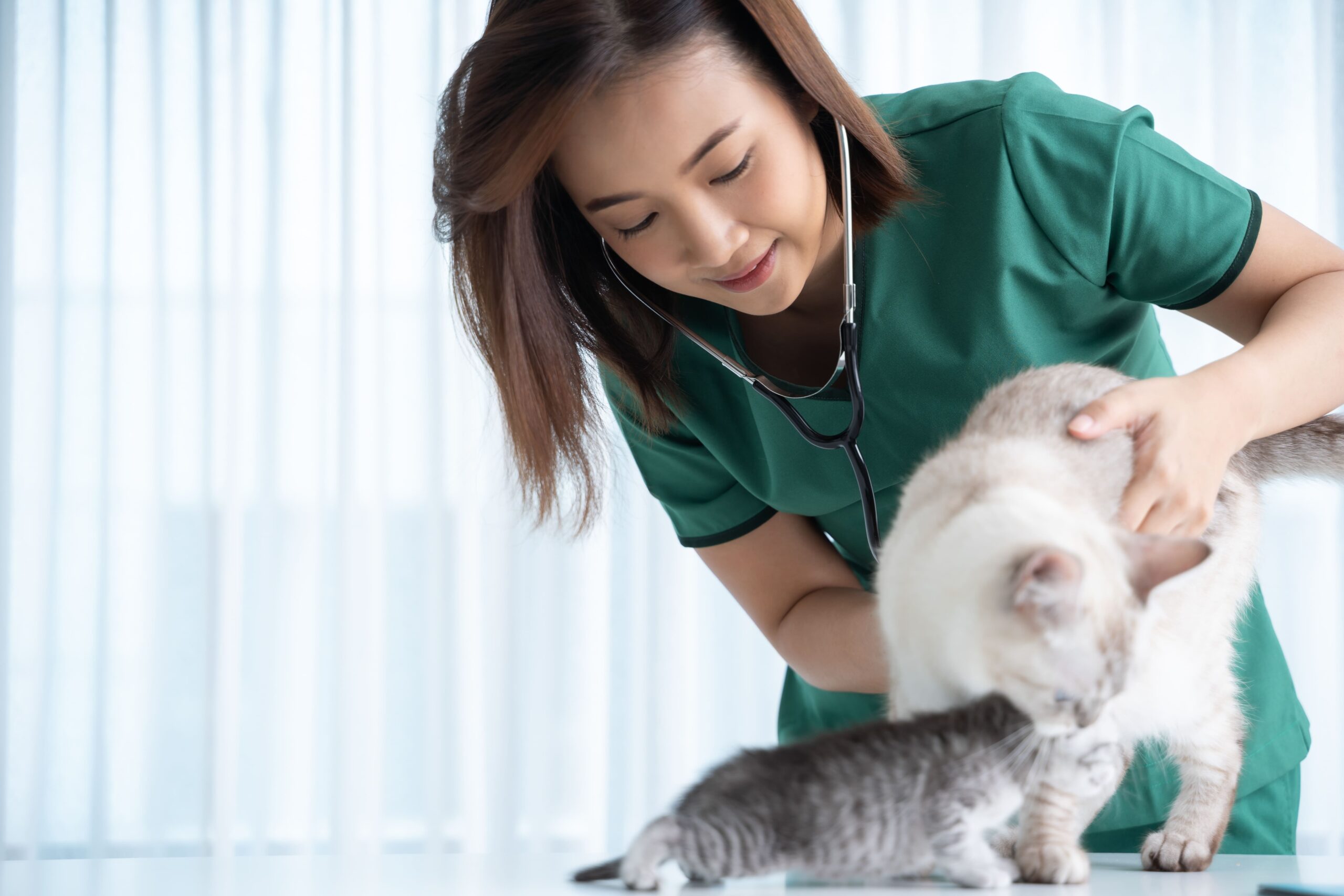 EC Healthcare Acquires Exotic Animal Veterinary Business Further Consolidate the Veterinary Industry and Diversify the Business Portfolio